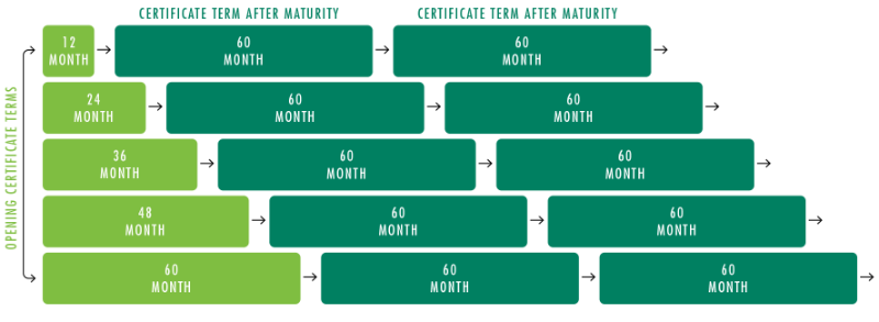 IMAGE: Graphic of CD ladder