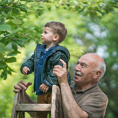 IMAGE: Grandfatherly man holding young boy steady on a ladder.