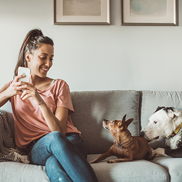 IMAGE: Woman holding phone sitting on couch smiling at her two dogs