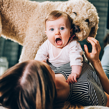 IMAGE: Mom laying on floor with baby on her chest with surprised look, Poodle dog nuzzling baby's ear.